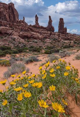 Mule Ears and the Marching Men